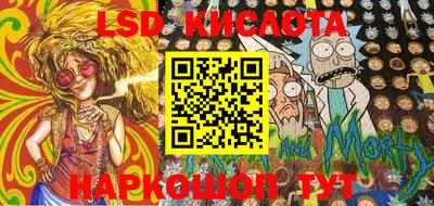 гашик Камышлов