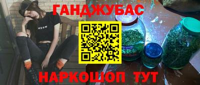 гашик Камышлов