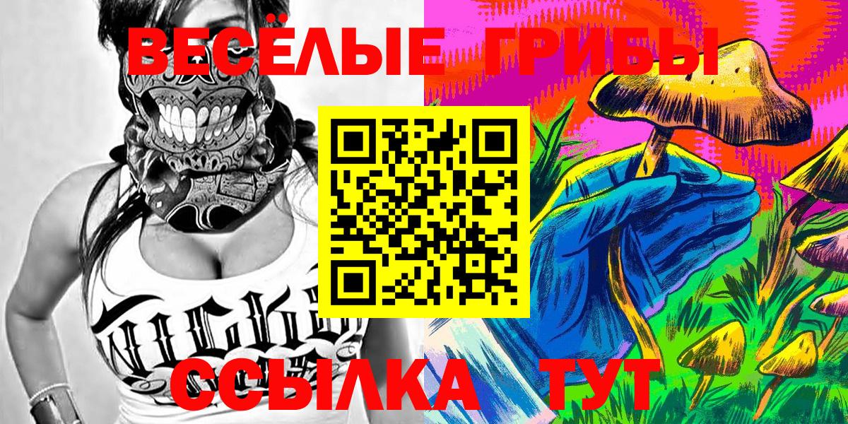 Псилоцибиновые грибы Psilocybine cubensis Кушва